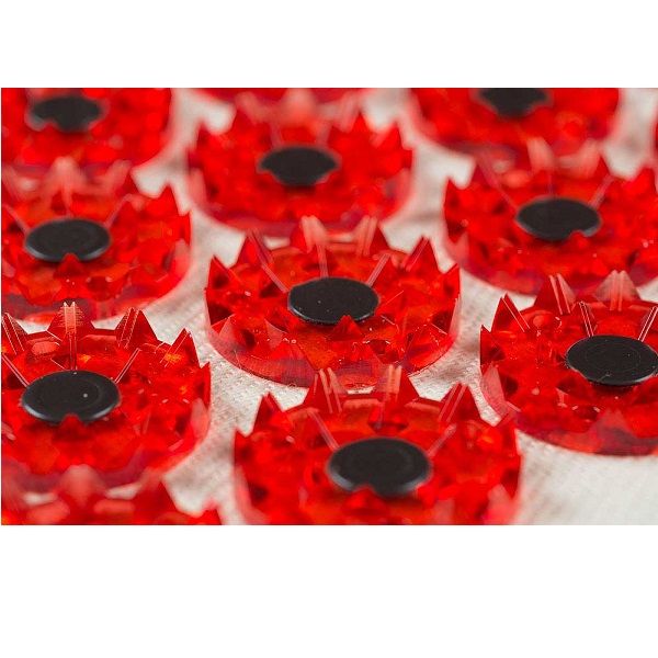 Тибетский магнитный аппликатор Кузнецова на мягкой подложке, 17х28 см